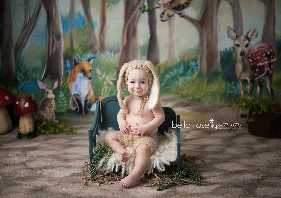 Woodland Critters - HSD Photography Backdrops 