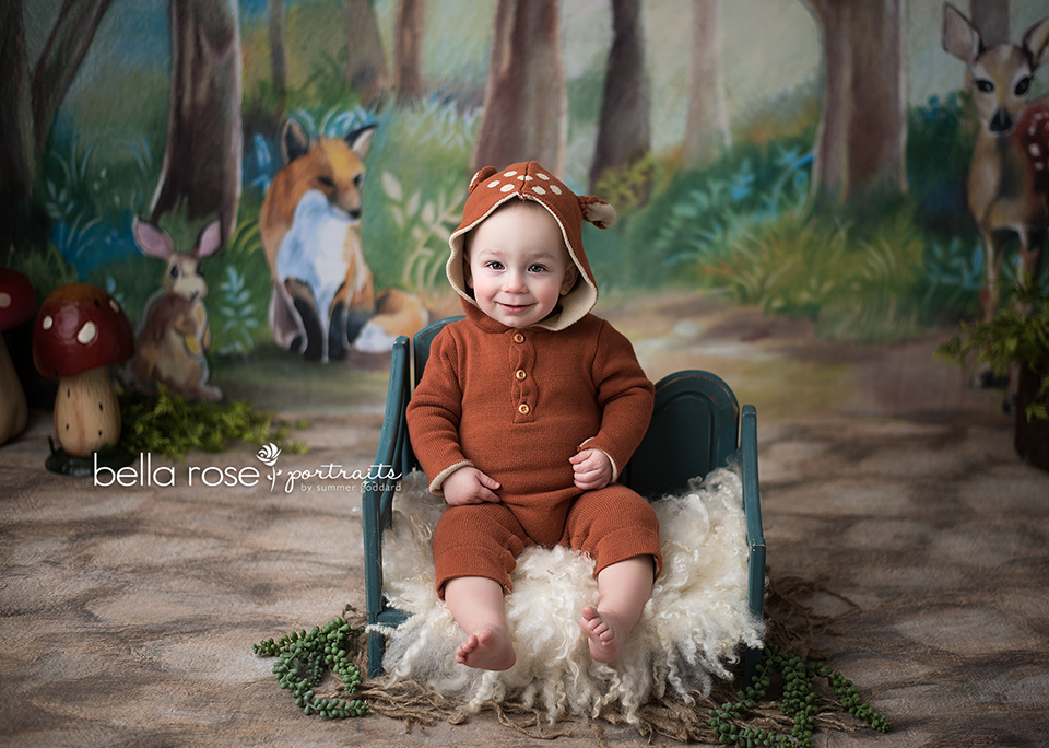 Woodland Critters - HSD Photography Backdrops 