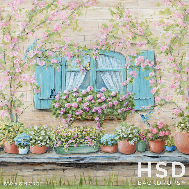 Spring Window Back Ground Spring Window Photo Backdrop for Mini Sessions and Studio Photography