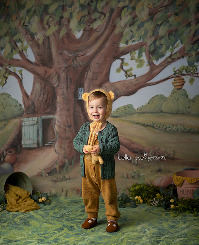 Honey Bear's Tree House - HSD Photography Backdrops 