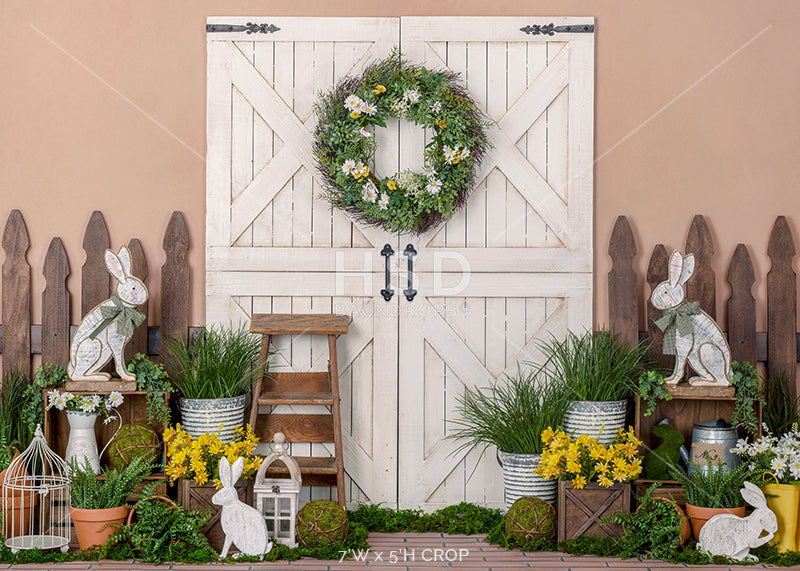 Hoppy Spring - HSD Photography Backdrops 