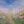 Easter Egg Hunt - HSD Photography Backdrops 