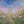 Easter Egg Hunt - HSD Photography Backdrops 
