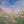 Easter Egg Hunt - HSD Photography Backdrops 