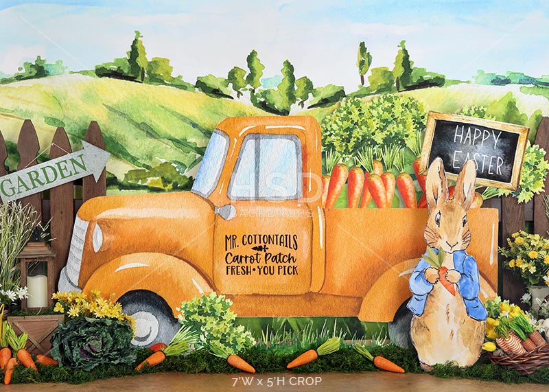 Peter's Carrot Patch - HSD Photography Backdrops 