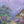 Easter Backdrops for Photography | Easter Bunny Background for Photos