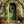 Easter Egg Entrance - HSD Photography Backdrops 