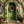 Easter Egg Entrance - HSD Photography Backdrops 