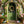 Easter Egg Entrance - HSD Photography Backdrops 