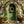 Easter Egg Entrance - HSD Photography Backdrops 