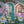 Delightful Daisies - HSD Photography Backdrops 