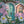 Delightful Daisies - HSD Photography Backdrops 