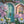 Delightful Daisies - HSD Photography Backdrops 