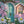 Delightful Daisies - HSD Photography Backdrops 