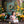 Rustic Easter Cottage Door - HSD Photography Backdrops 