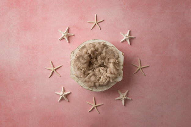 Starfish (Pink) | Seashore Coll. | Digital - HSD Photography Backdrops 