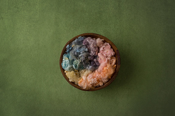 Seedling Collection | Digital - HSD Photography Backdrops 