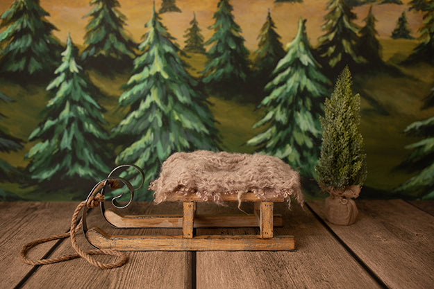 Sleigh Ride | Lumberjack Coll. | Digital - HSD Photography Backdrops 