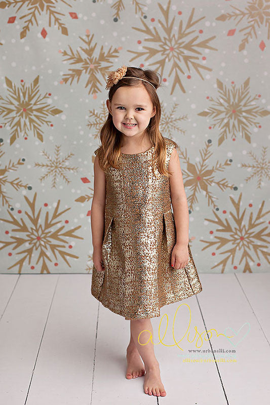 Winter | Flurry - HSD Photography Backdrops 
