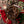 Snuggle Season Brown | Digital Backdrop - HSD Photography Backdrops 