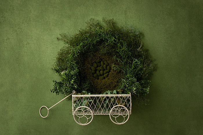 Spring Moss - HSD Photography Backdrops 