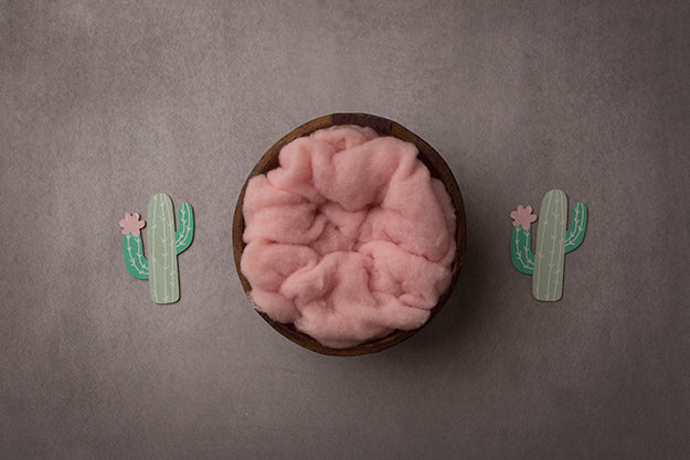 Cute As A Cactus | Stuck On You Coll. | Digital - HSD Photography Backdrops 