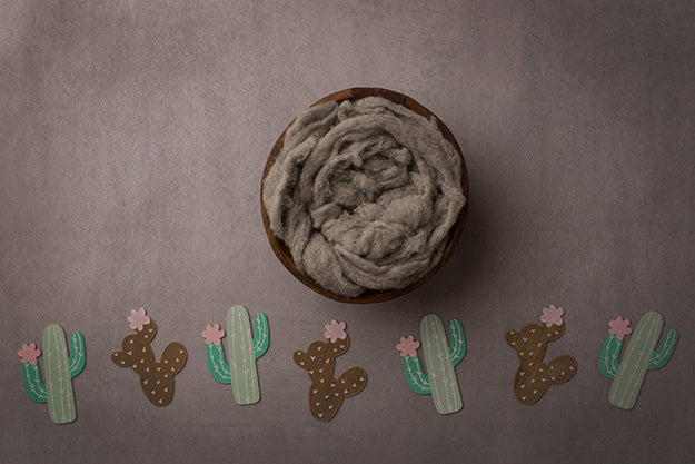 Little Cacti | Stuck On You Coll. | Digital - HSD Photography Backdrops 