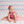 Chic Chevron - HSD Photography Backdrops 