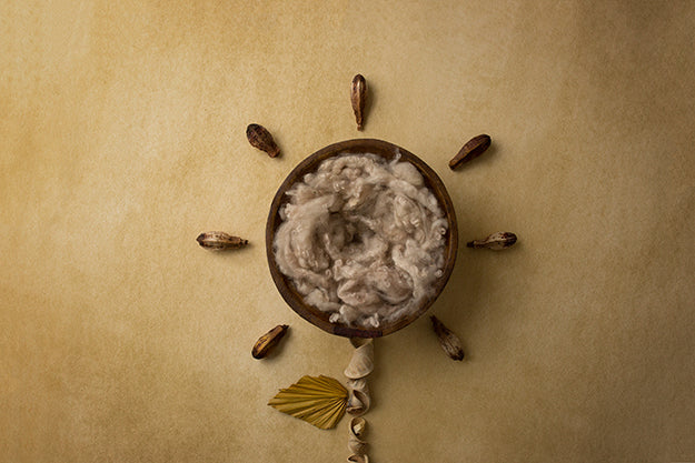 Sun Kissed Coll. | Seed Pod | Digital - HSD Photography Backdrops 