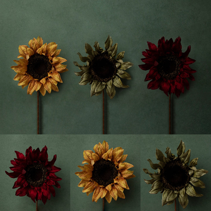 Sunflower Delight Collection - HSD Photography Backdrops 