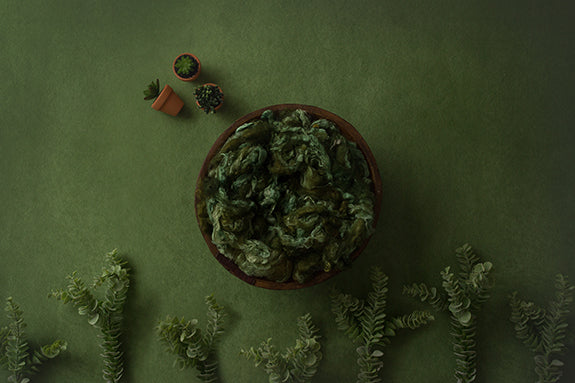 Sweet Succulents Collection | Digital - HSD Photography Backdrops 
