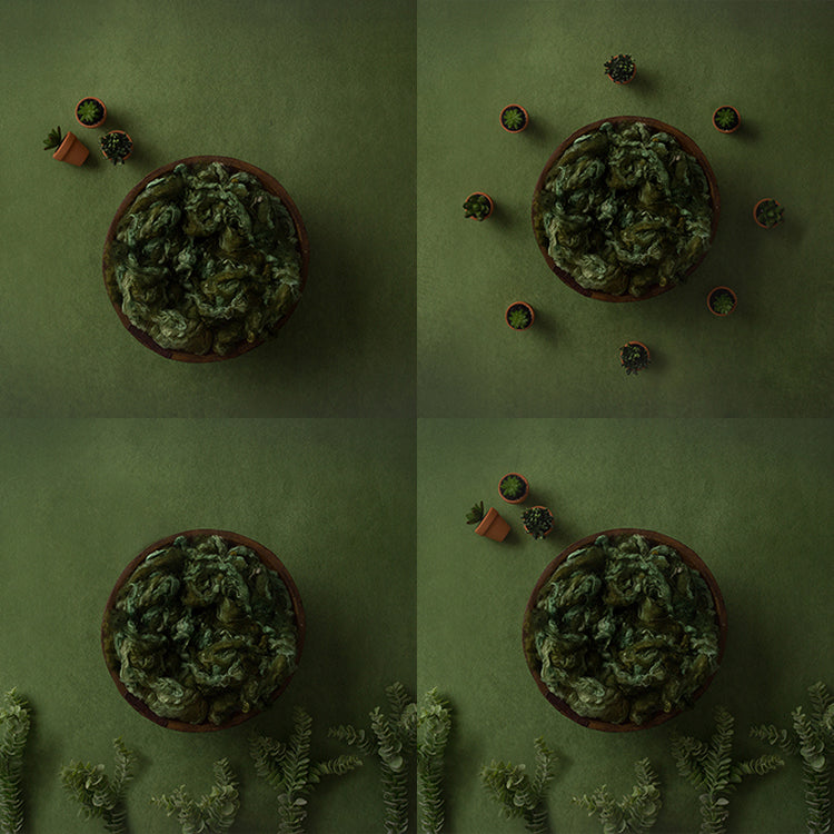 Sweet Succulents Collection | Digital - HSD Photography Backdrops 