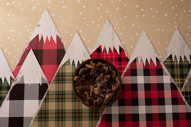Newborn Digital Backdrop | Christmas Plaid Coll. | Tartan - HSD Photography Backdrops 