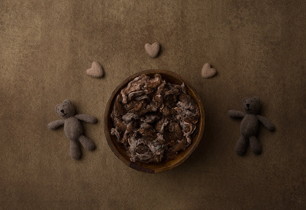 Teddybear Coll. | Baby Bear | Digital - HSD Photography Backdrops 