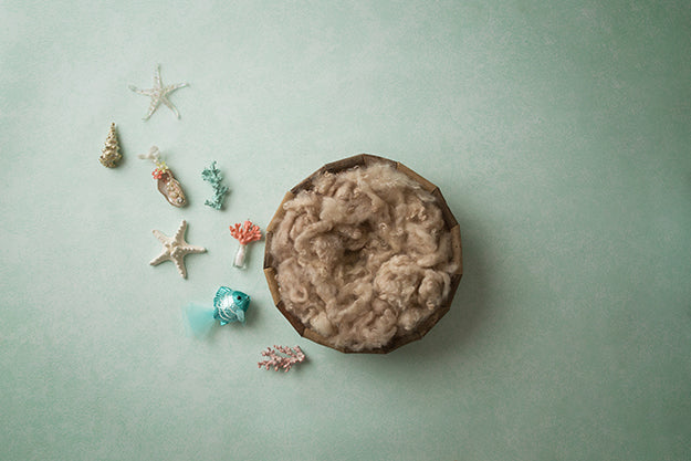 Under The Sea Collection | Digital - HSD Photography Backdrops 