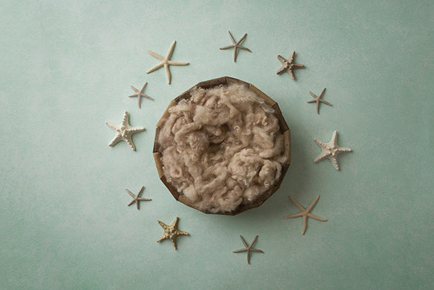 Under The Sea Collection | Digital - HSD Photography Backdrops 