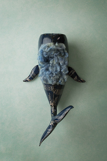 Under The Sea Collection | Digital - HSD Photography Backdrops 