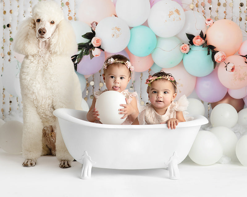 Unicorn Party - HSD Photography Backdrops 