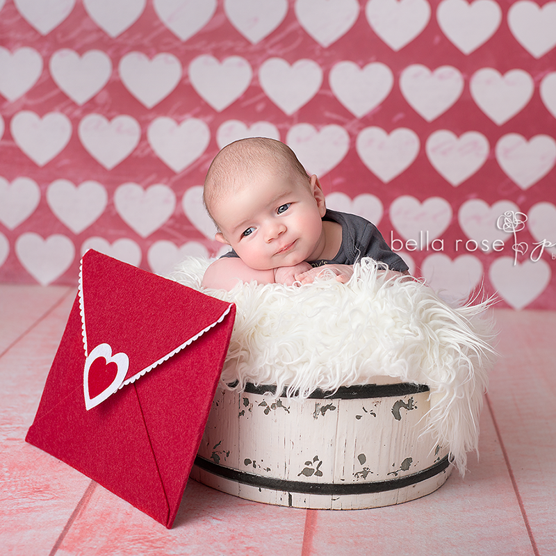 I Heart You - HSD Photography Backdrops 