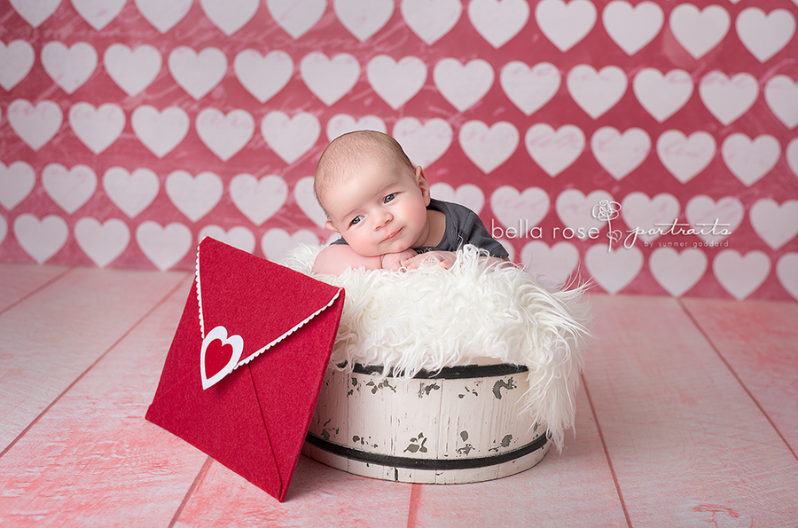 I Heart You - HSD Photography Backdrops 