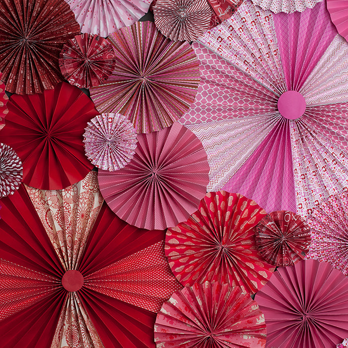 Valentine's Pinwheel Fans - HSD Photography Backdrops 