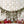 Rouge Ensemble - HSD Photography Backdrops 