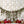 Rouge Ensemble - HSD Photography Backdrops 