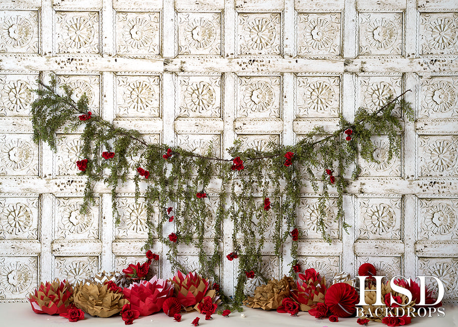 Rouge Ensemble - HSD Photography Backdrops 