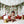 Rouge Ensemble - HSD Photography Backdrops 