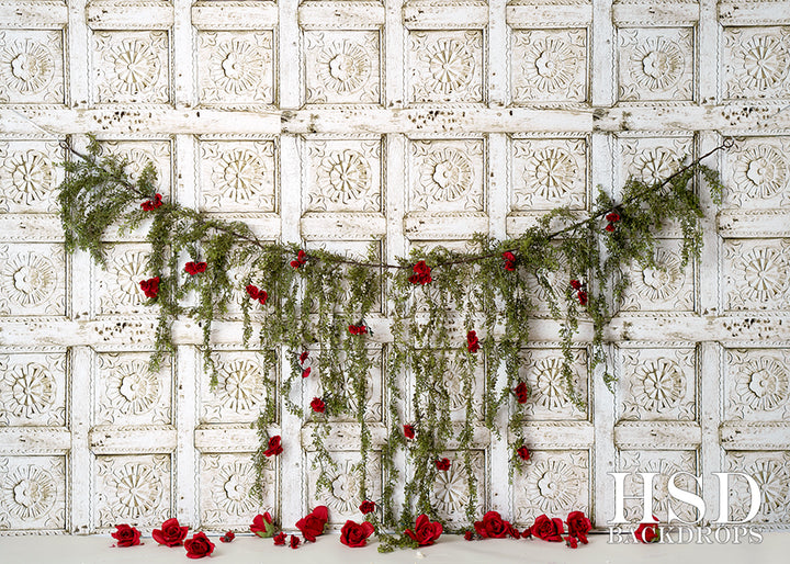 Vigne Rouge - HSD Photography Backdrops 