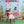 Valentine's Kissing Booth - HSD Photography Backdrops 