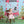 Valentine's Kissing Booth - HSD Photography Backdrops 