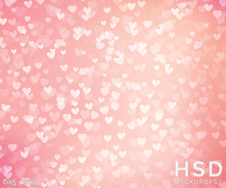 Love is in the Air - HSD Photography Backdrops 