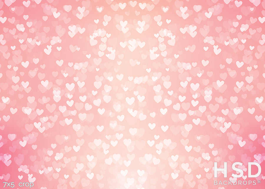 Love is in the Air - HSD Photography Backdrops 